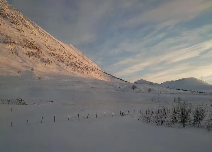 Russelv Panorama